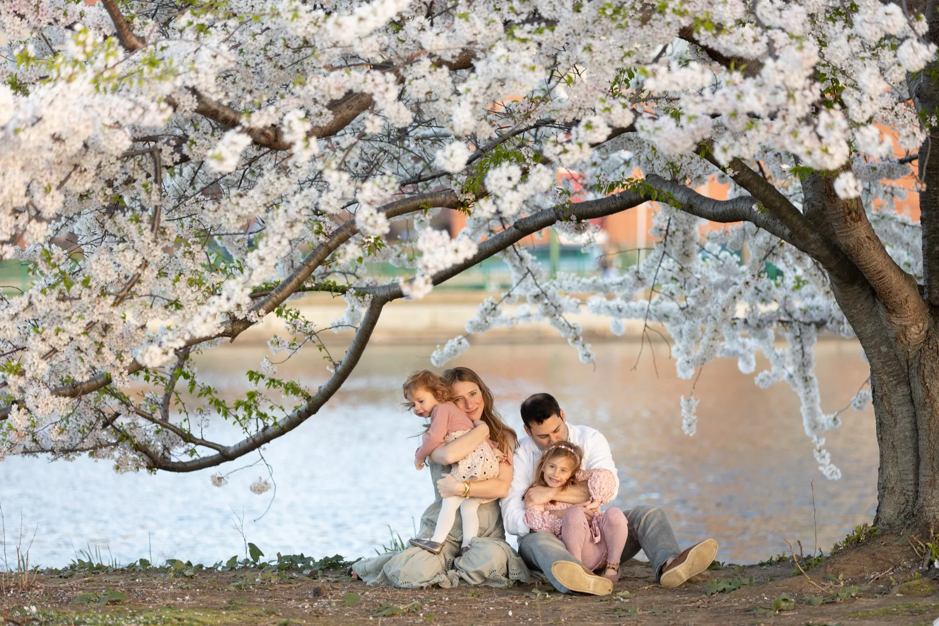 spring-cherry-blossom-family-photoshoot-boston