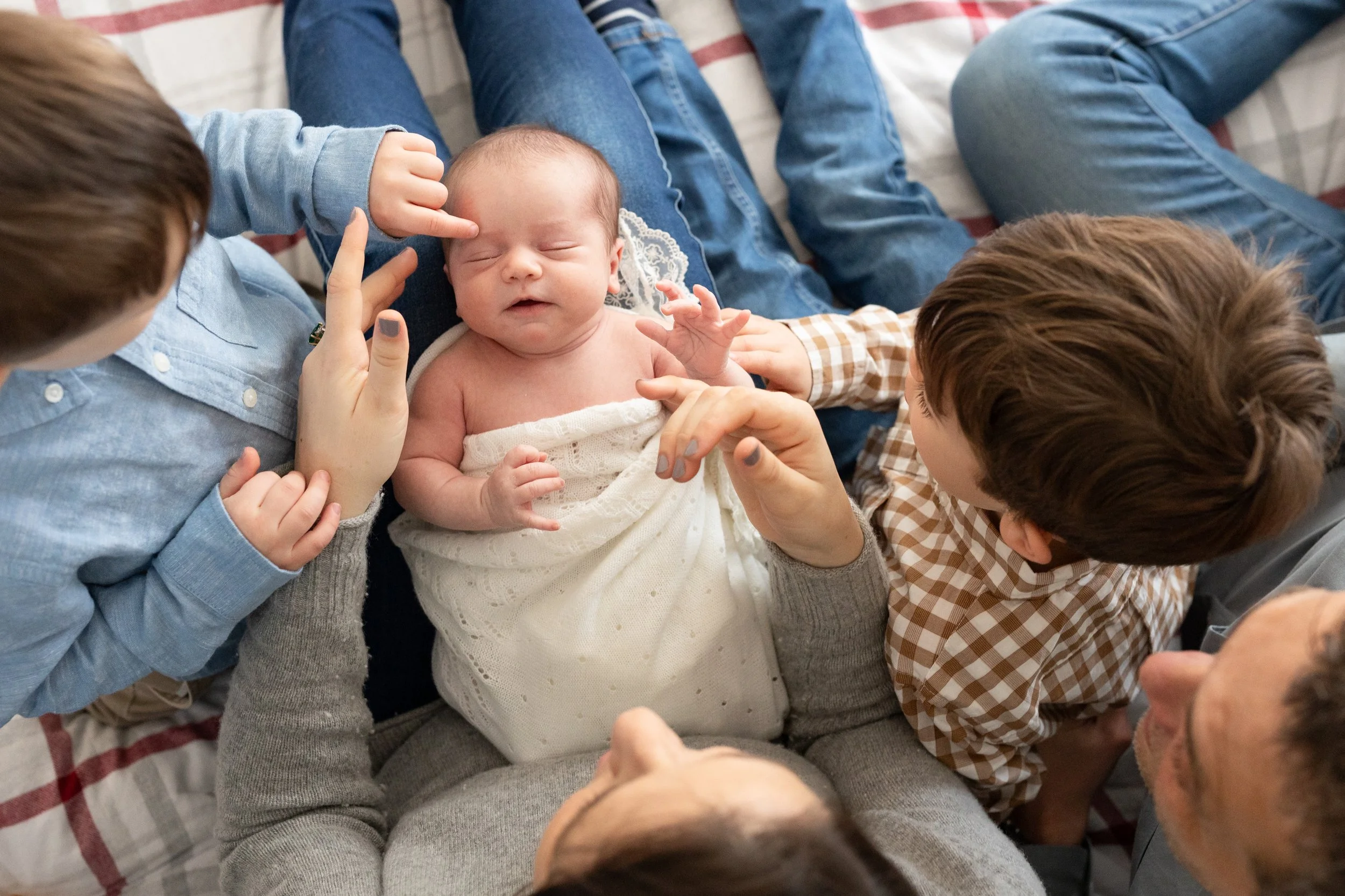 toddler-brothers-newborn-baby-photoshoot-wellesley-ma