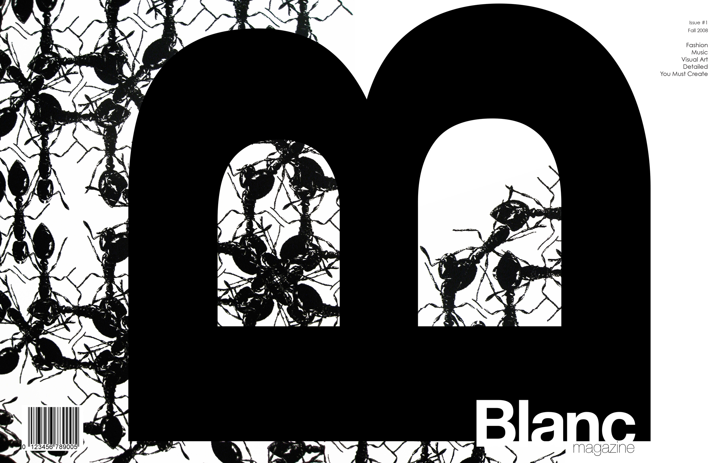 blanc cover.jpg