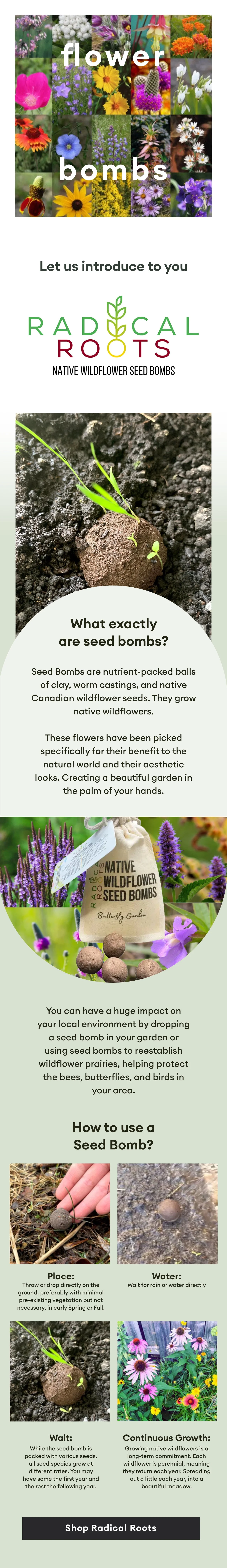 TWM_Email_Apr2023_Flower Bomb.jpg