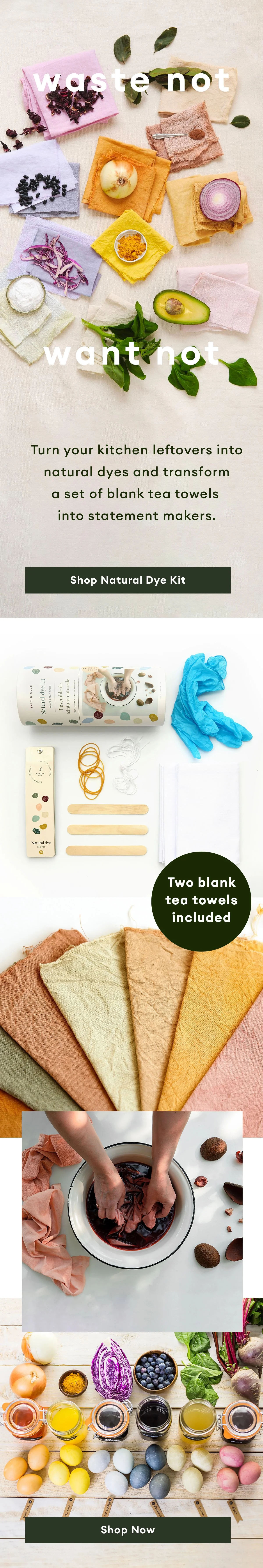 TWM_Email_Oct2022_NaturalDyeKit.jpg