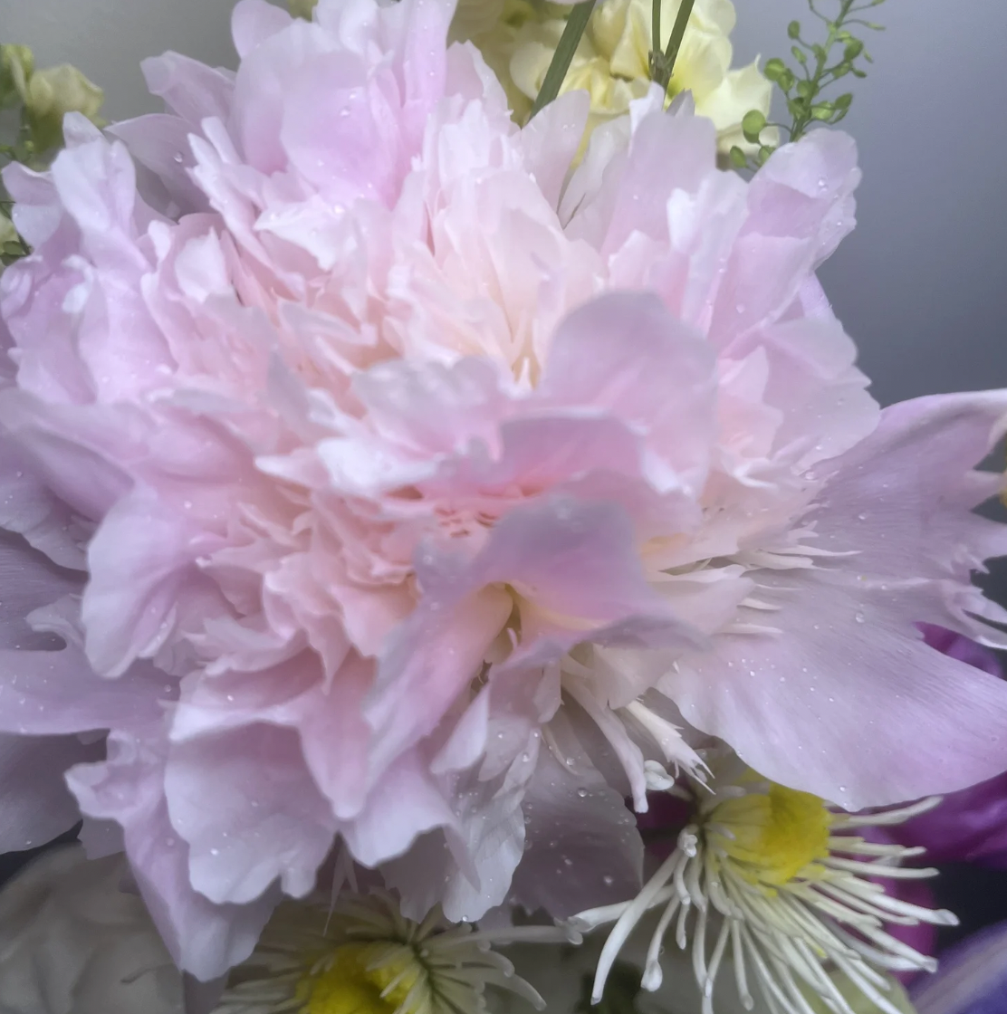 Screenshot 2026-03-22 at 11.39.59 AM.png