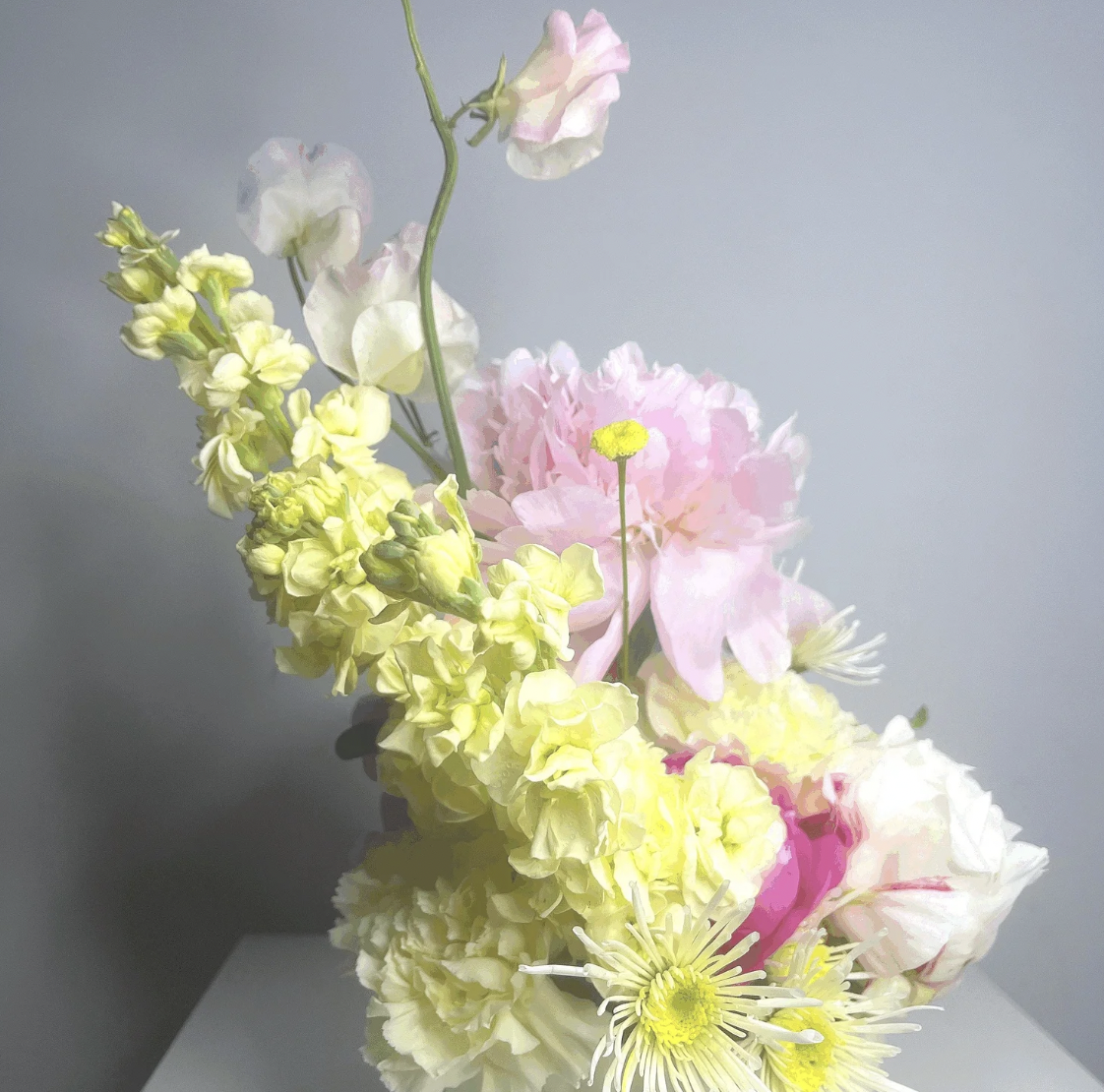 Screenshot 2026-03-22 at 11.39.44 AM.png