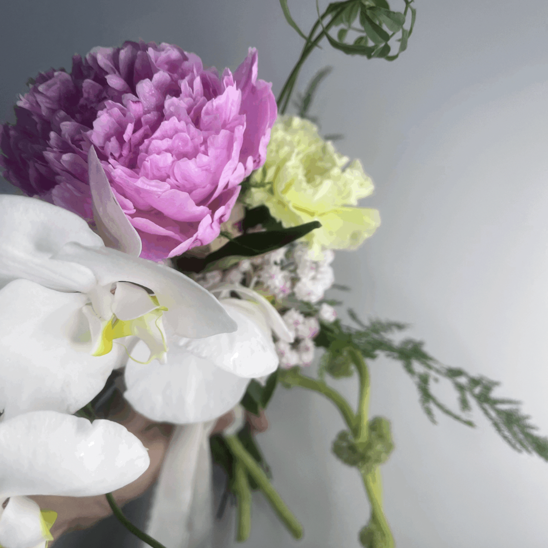 Screenshot 2026-03-22 at 11.39.07 AM.png