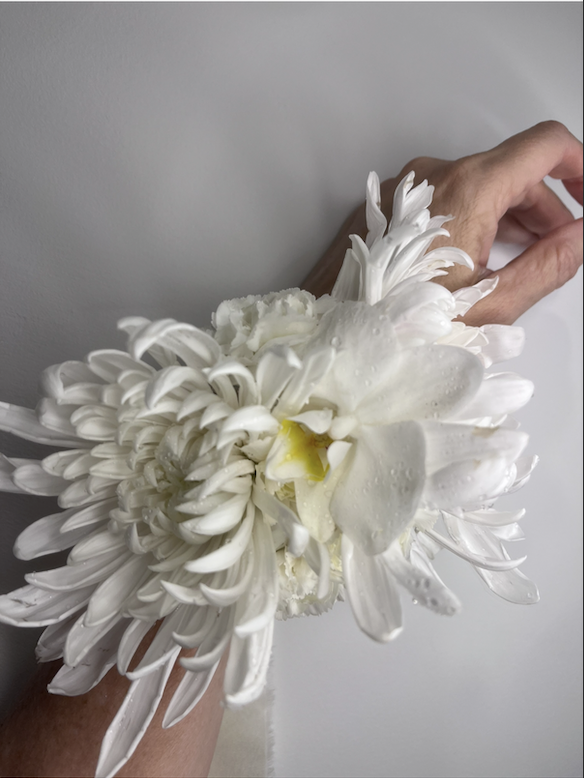 Screenshot 2026-03-22 at 1.34.01 PM.png