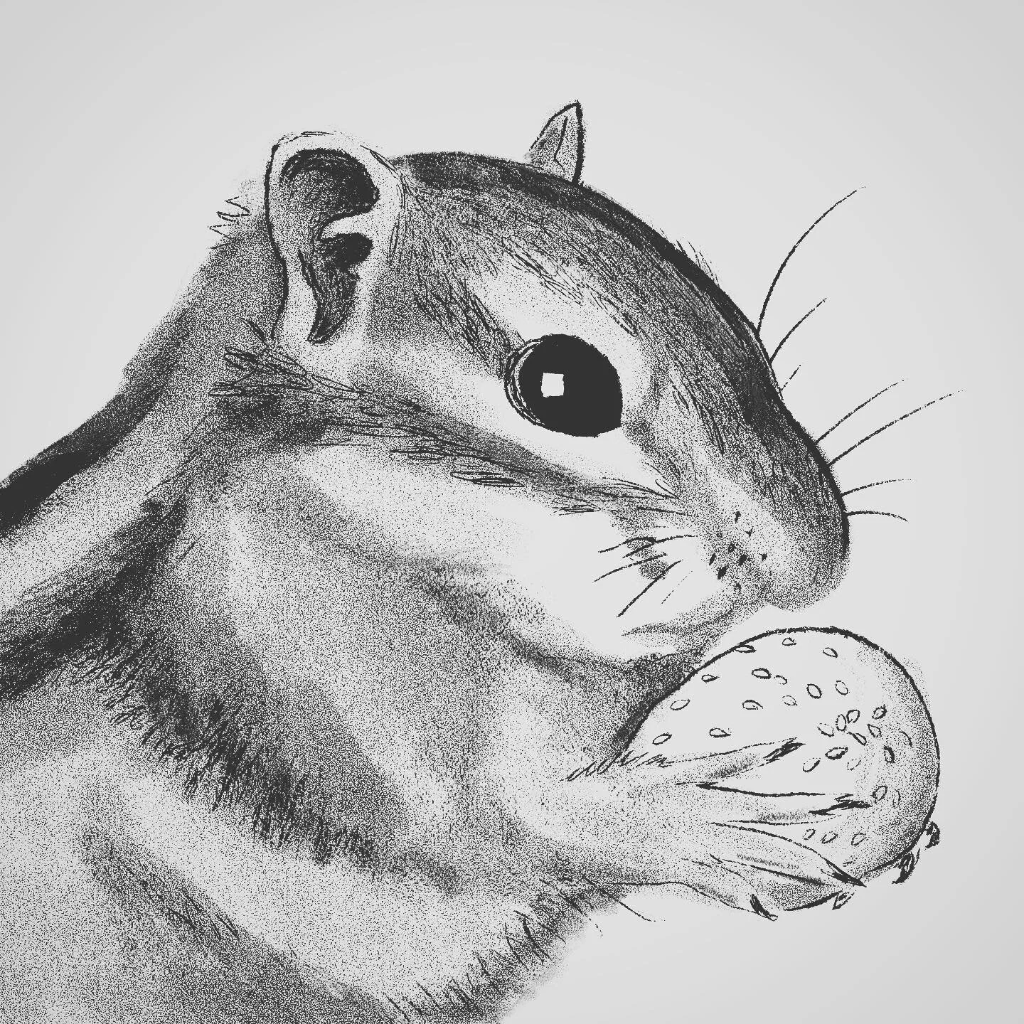 Inktober number 6: RODENT. I struggled with this one but here&rsquo;s a couple tries 🐁🐁 
.
.
.
#inktober #inktober2020 #inktoberrodent #adobefresco #art #sketch