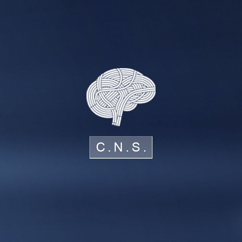 CNS buttom.jpg