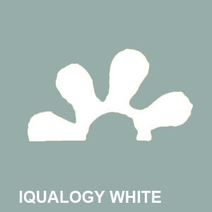 Iqualogy+White.jpg