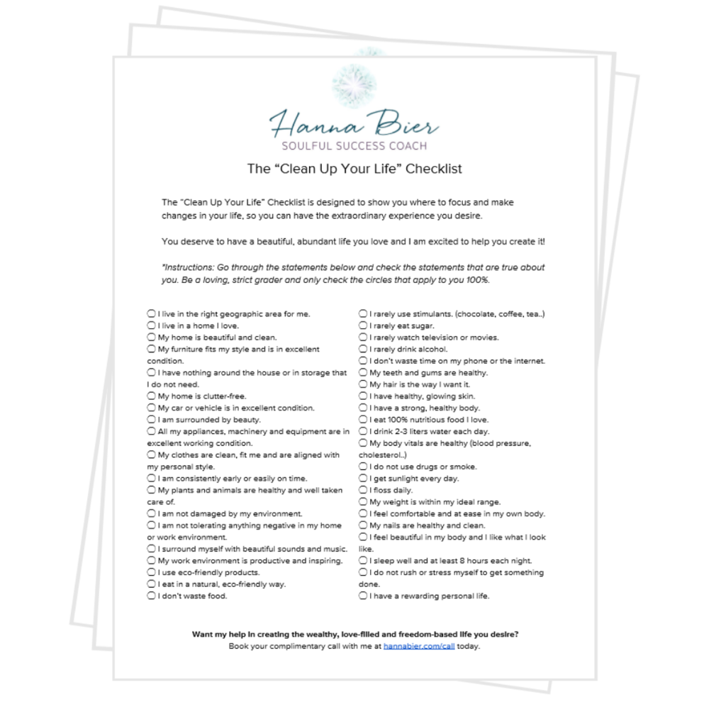 The Clean Up Your Life Checklist Hanna Bier The Clean Up Your Life Checklist Hanna Bier