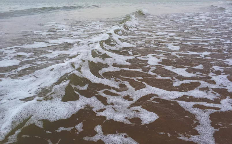 Mer du Nord, Belgique - North Sea, Belgium