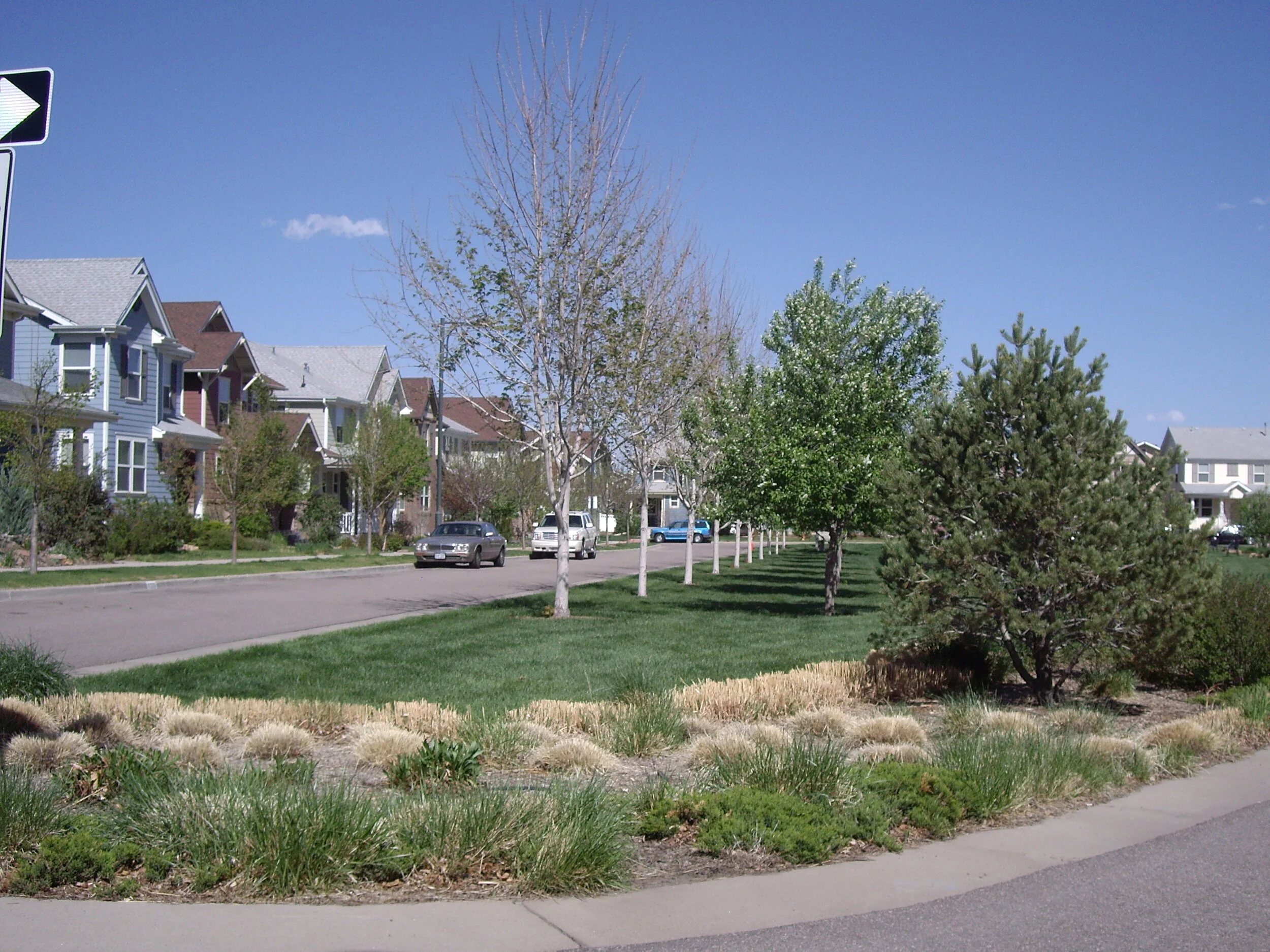 IMGP3118.JPG