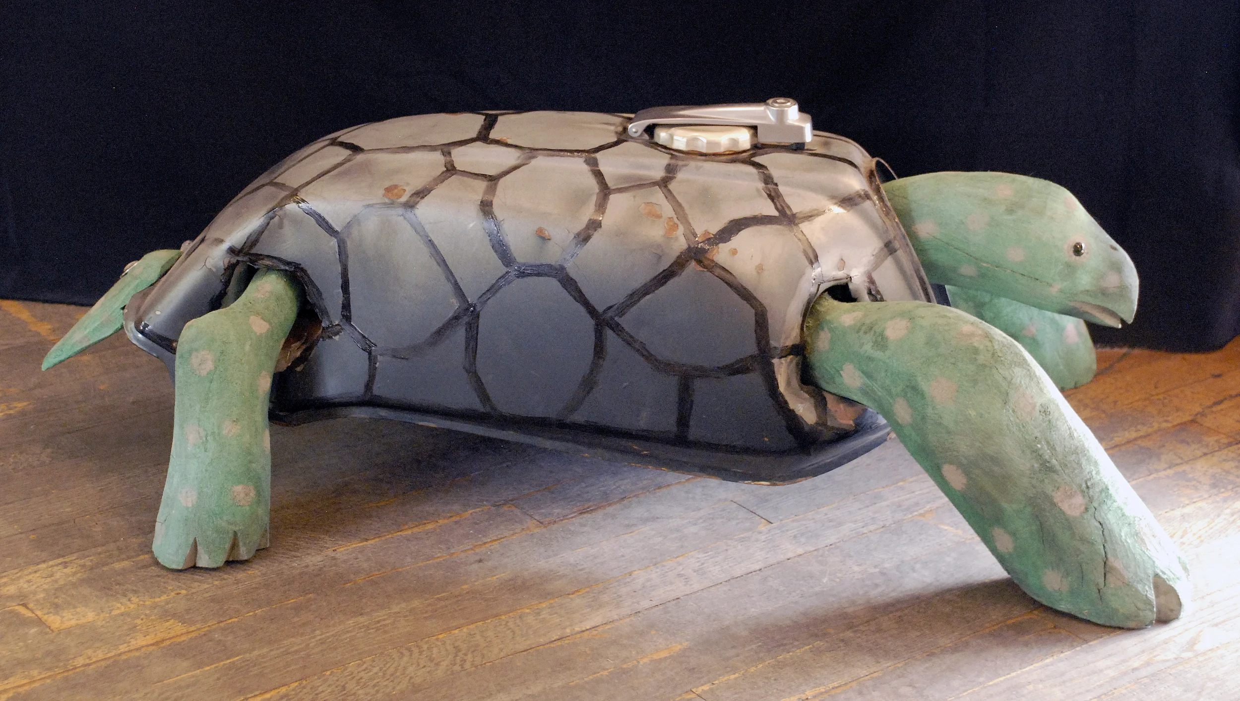 Large Turtle.jpg