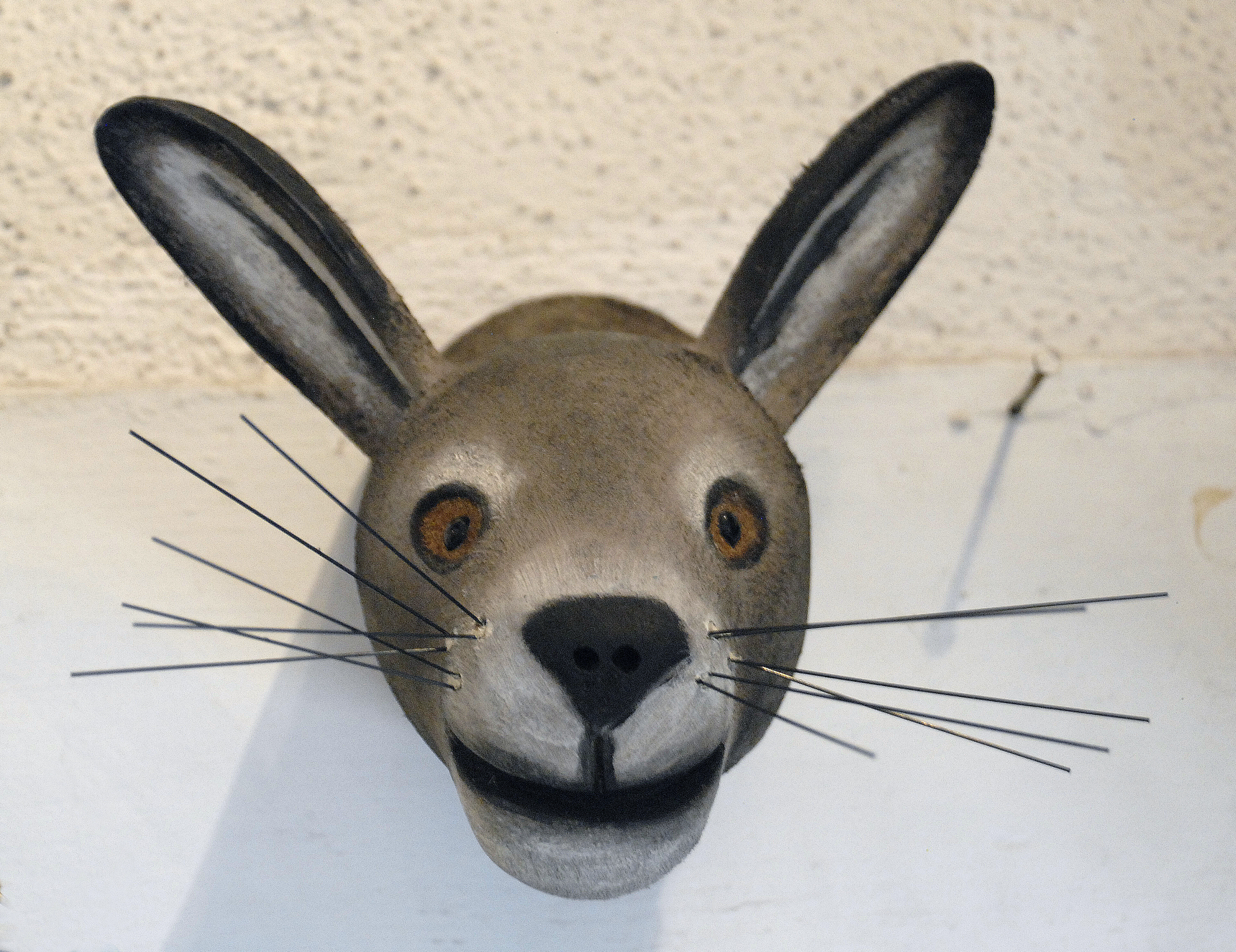 Rabbit head.jpg