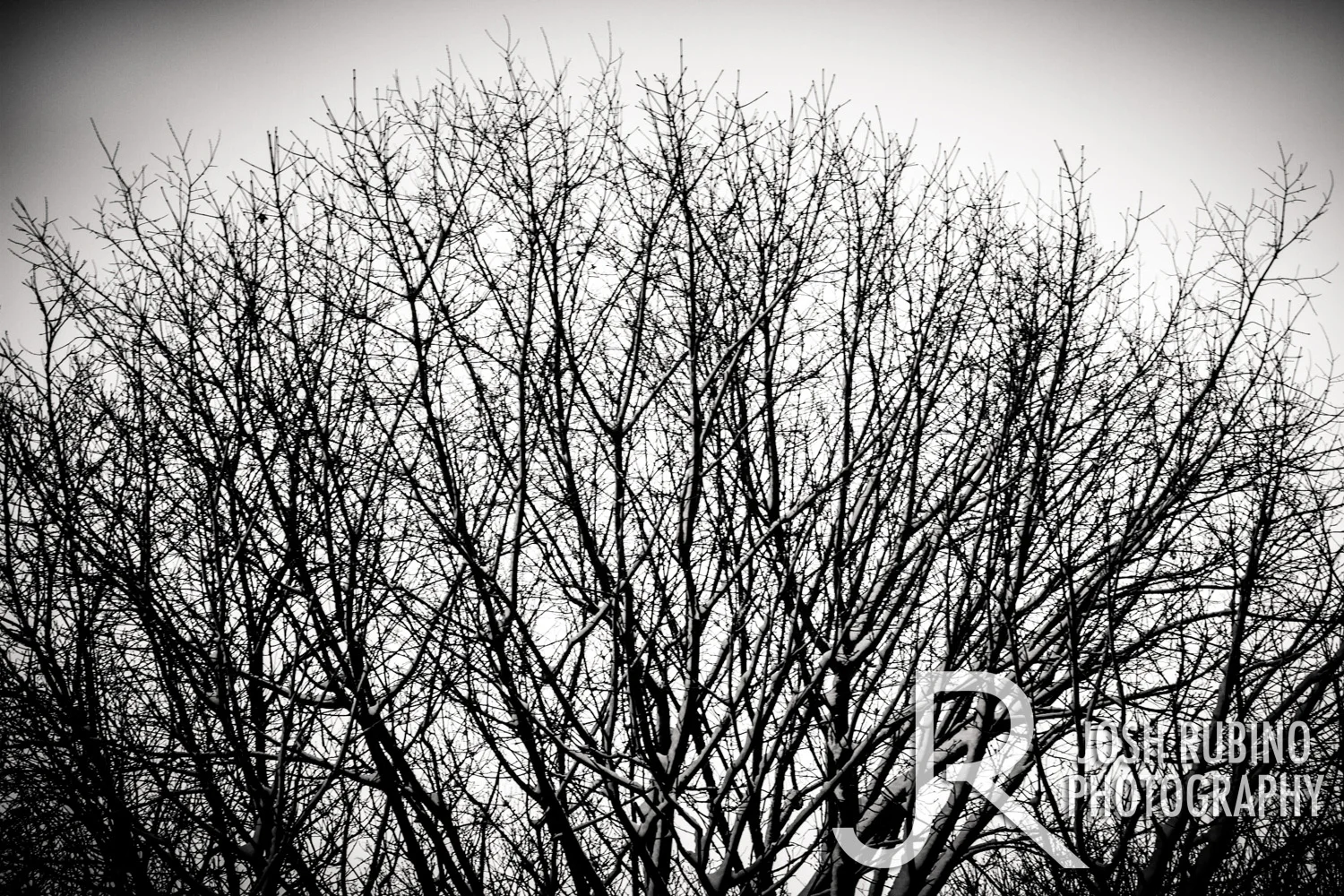 Rubino_blog_20140207_2.jpg