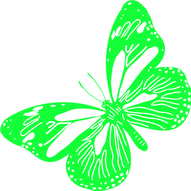 butterfly.png