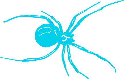 spider.png