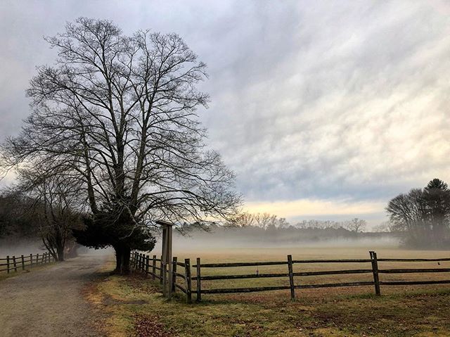 Fog Lyf

Great afternoon with @mijitapo at #borderlandstatepark 
#hiking #nature #easton #massachusetts #tree #fog #outdoors #fence #hoshtag