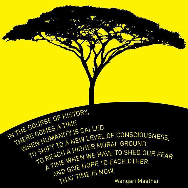 The words of Wangari Maathai seem pretty relevant right now.
#wangarimaathai #blacklivesmatter #equality #equalityforall #civilrights #humanrights #together #adobeillustrator #graphicdesign #design #umbrellatree #tree #vector