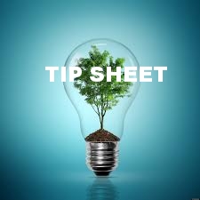 tree in bulb.jpg