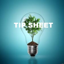 tree in bulb.jpg