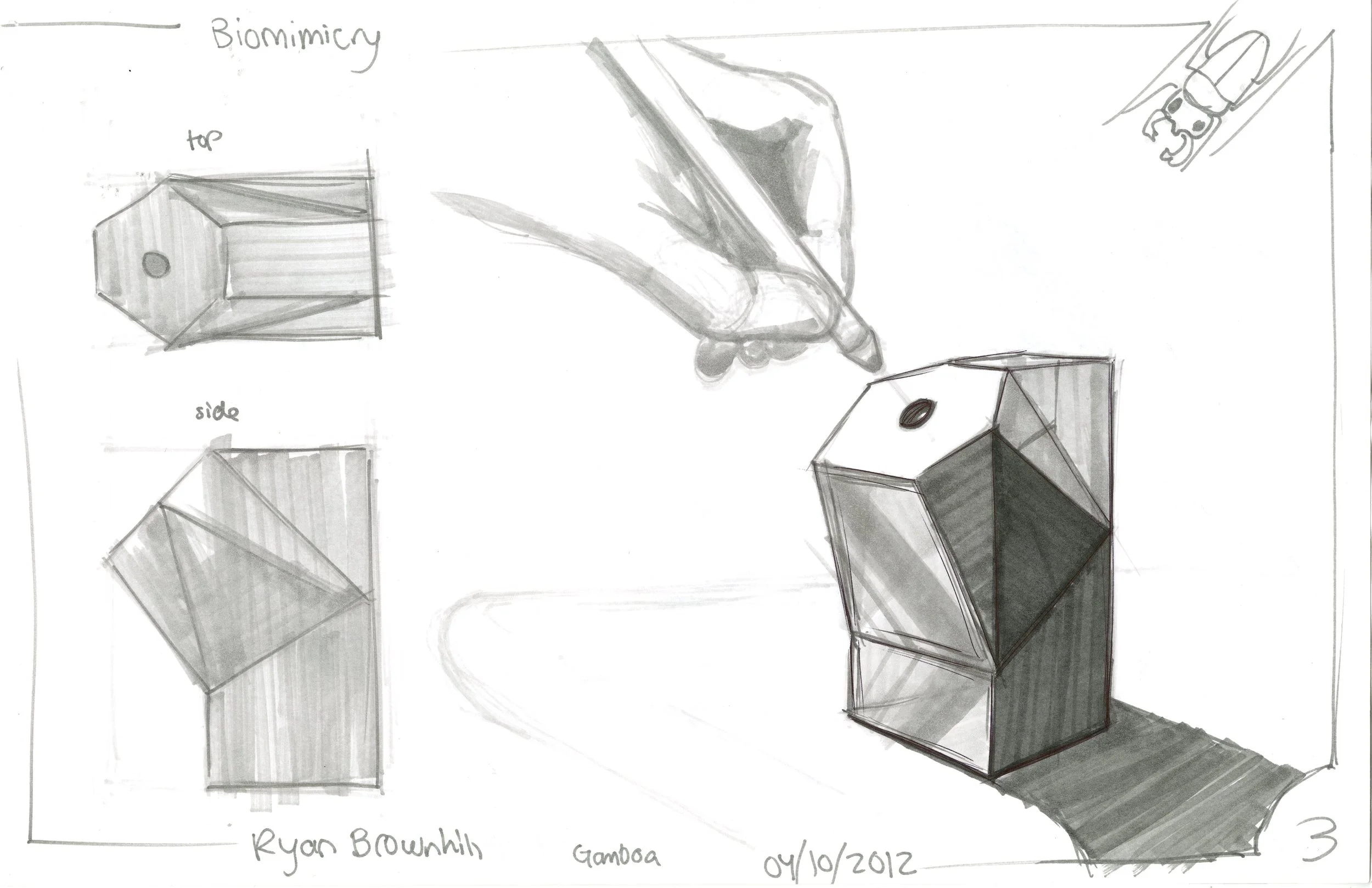 Biomimicry11X17003.jpg
