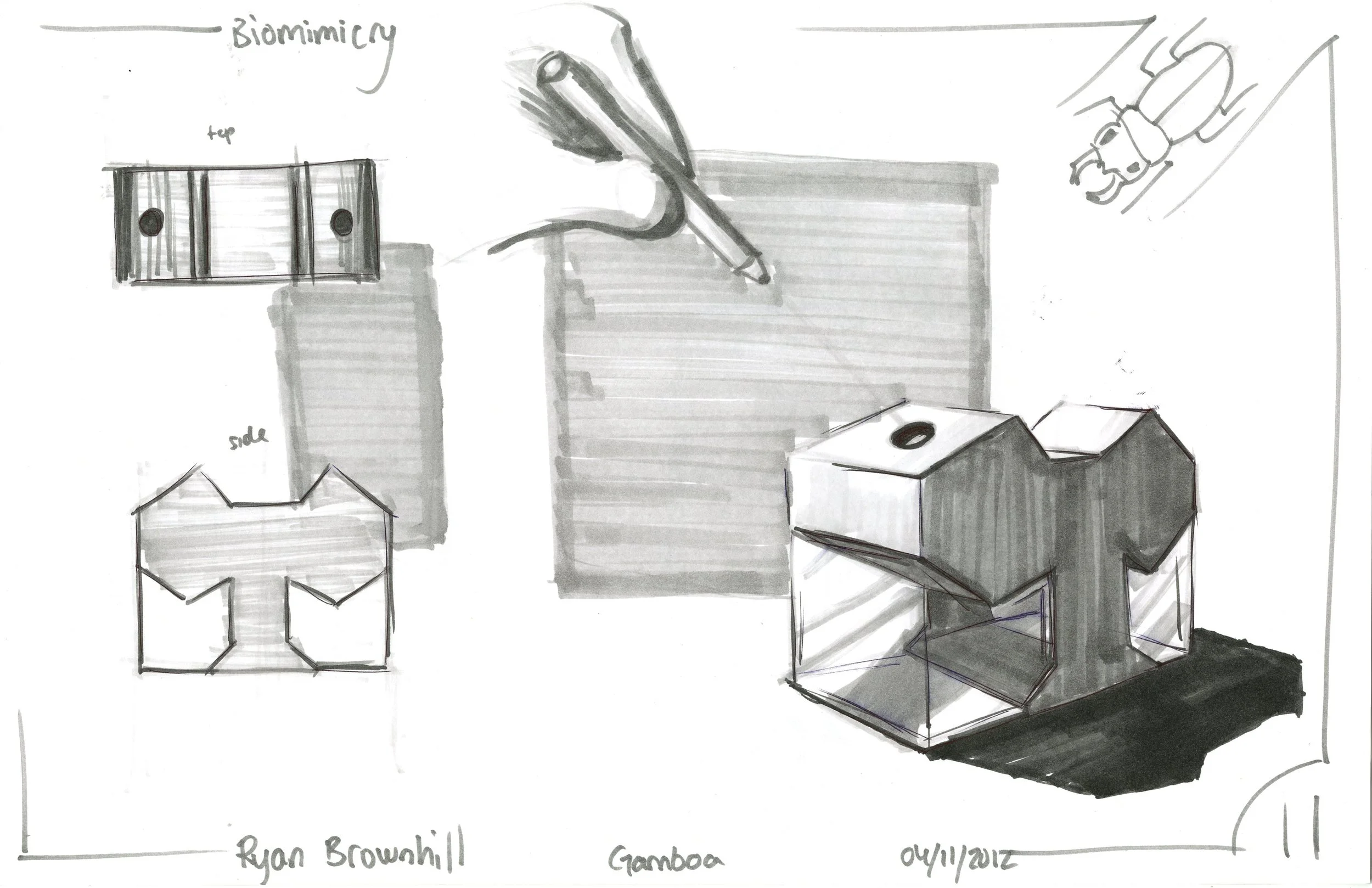 Biomimicry11X17011.jpg