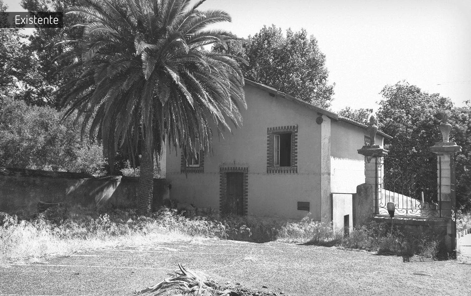 Benagazil (8).jpg
