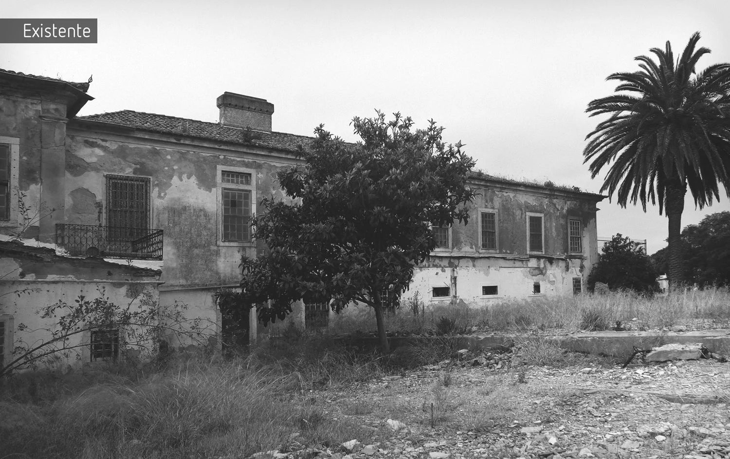 Benagazil (9).jpg