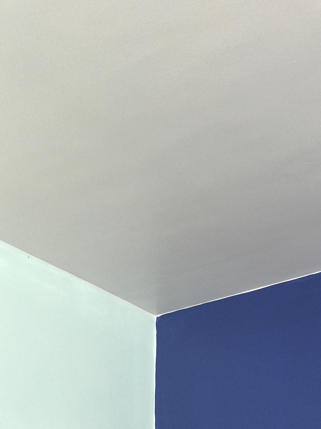 Apartamento Azul Farol - Porto - EVA evolutionary architecture - EVA atelier - Arquitecto - Remodelação (15).jpg