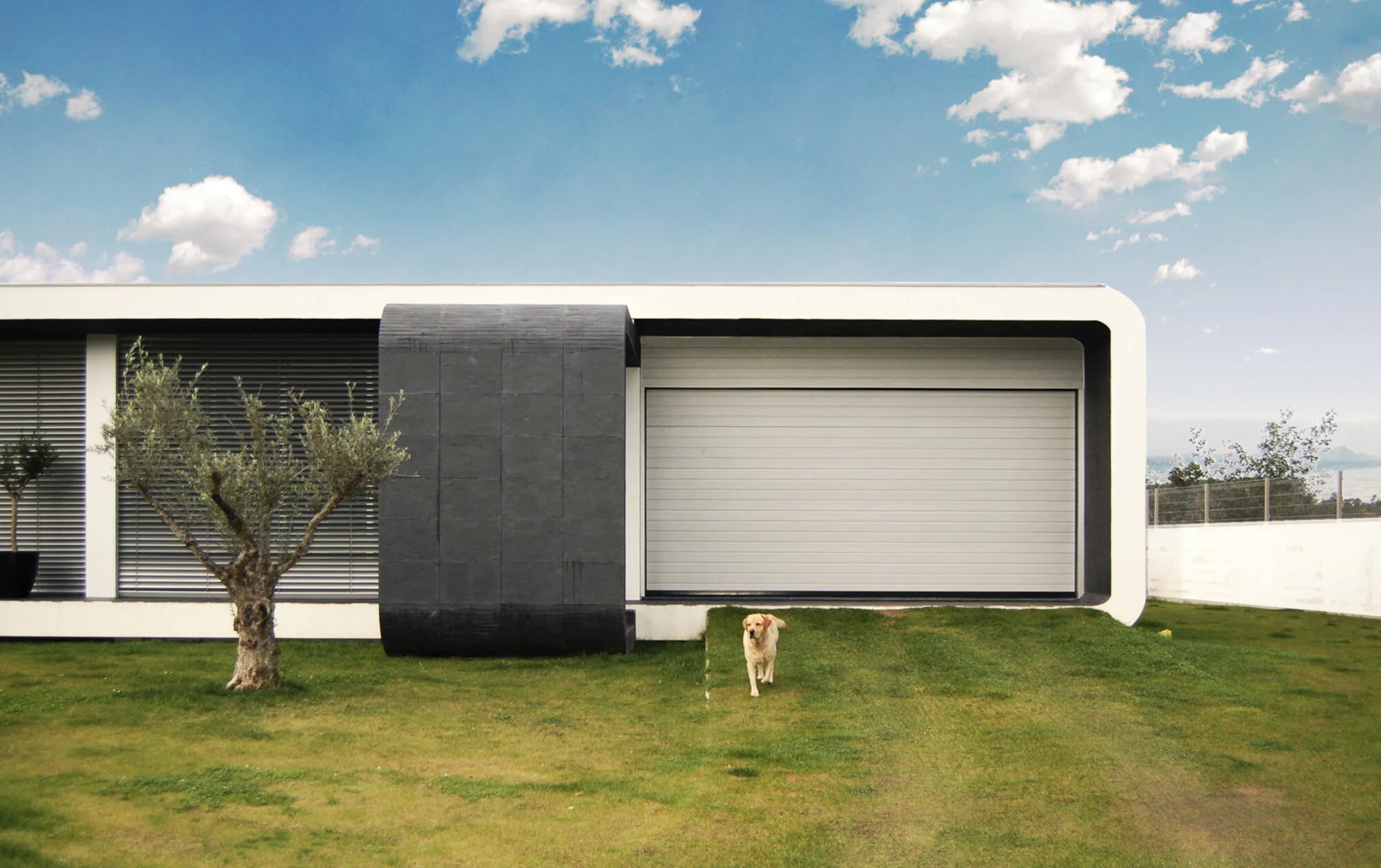 Eva Evolutionary Architecture