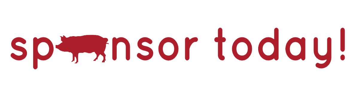 sponsor.png