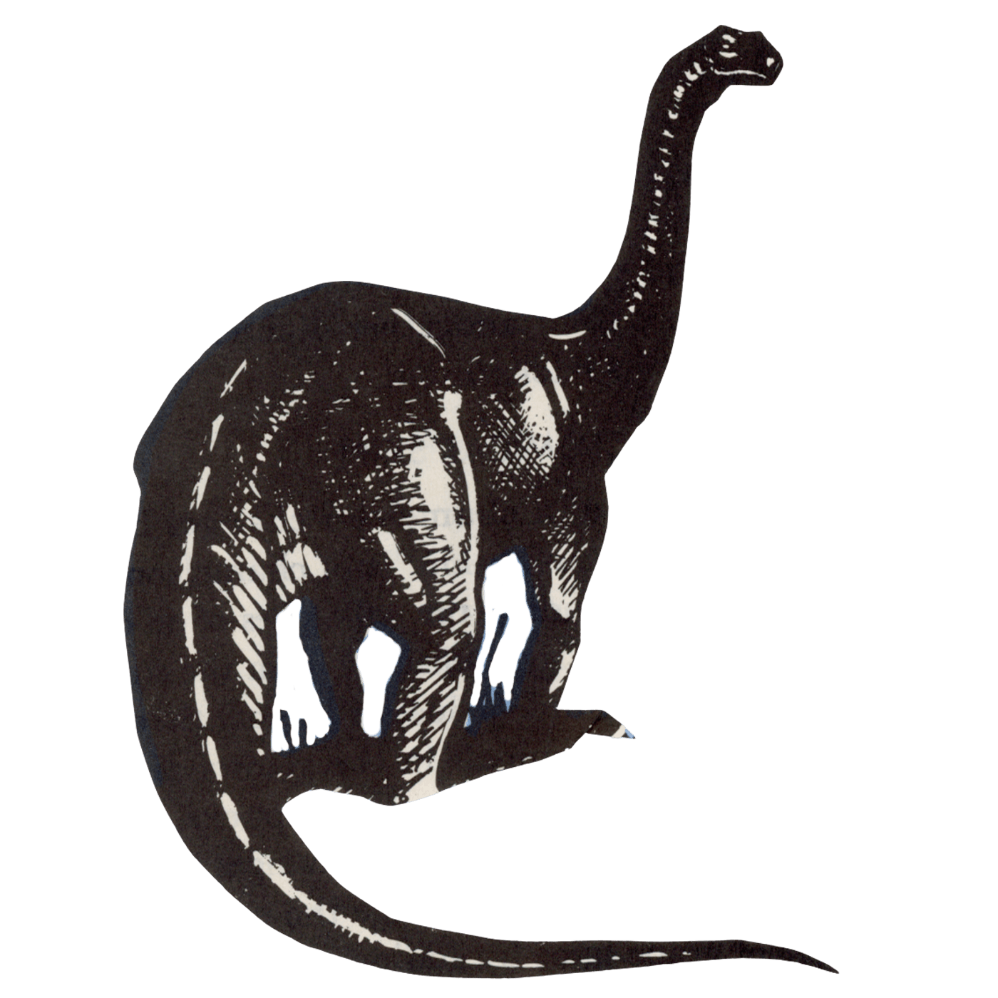 Black and white illustration of a dinosaur with a long neck and tail, standing on four legs.