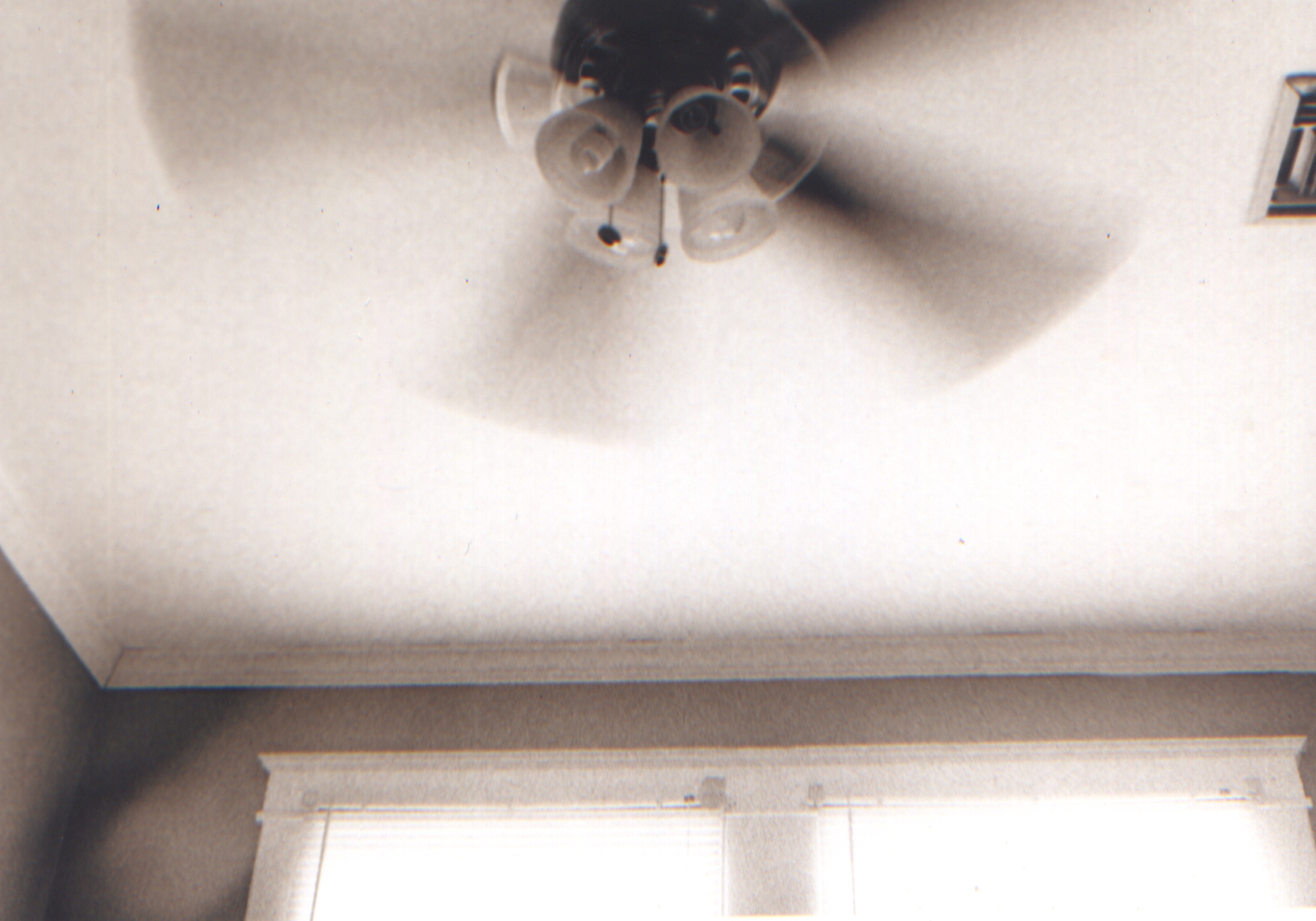 Fan.jpeg