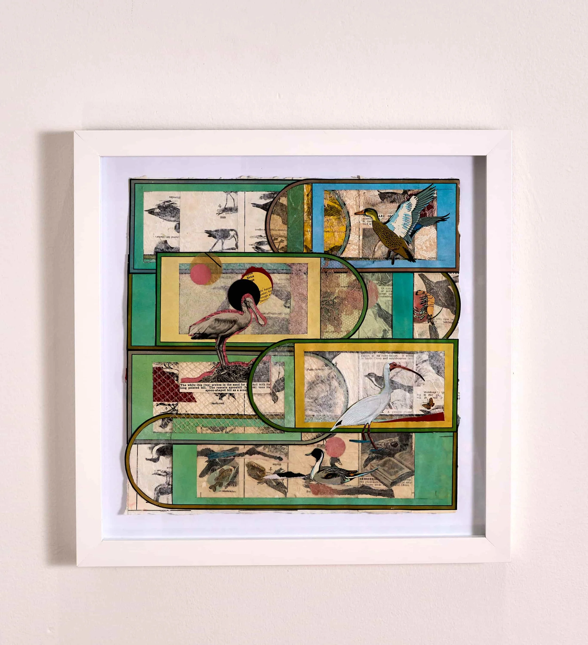 Colorful framed artwork featuring various images of birds, including a heron and a duck, with abstract and collage elements, mounted on a white wall.