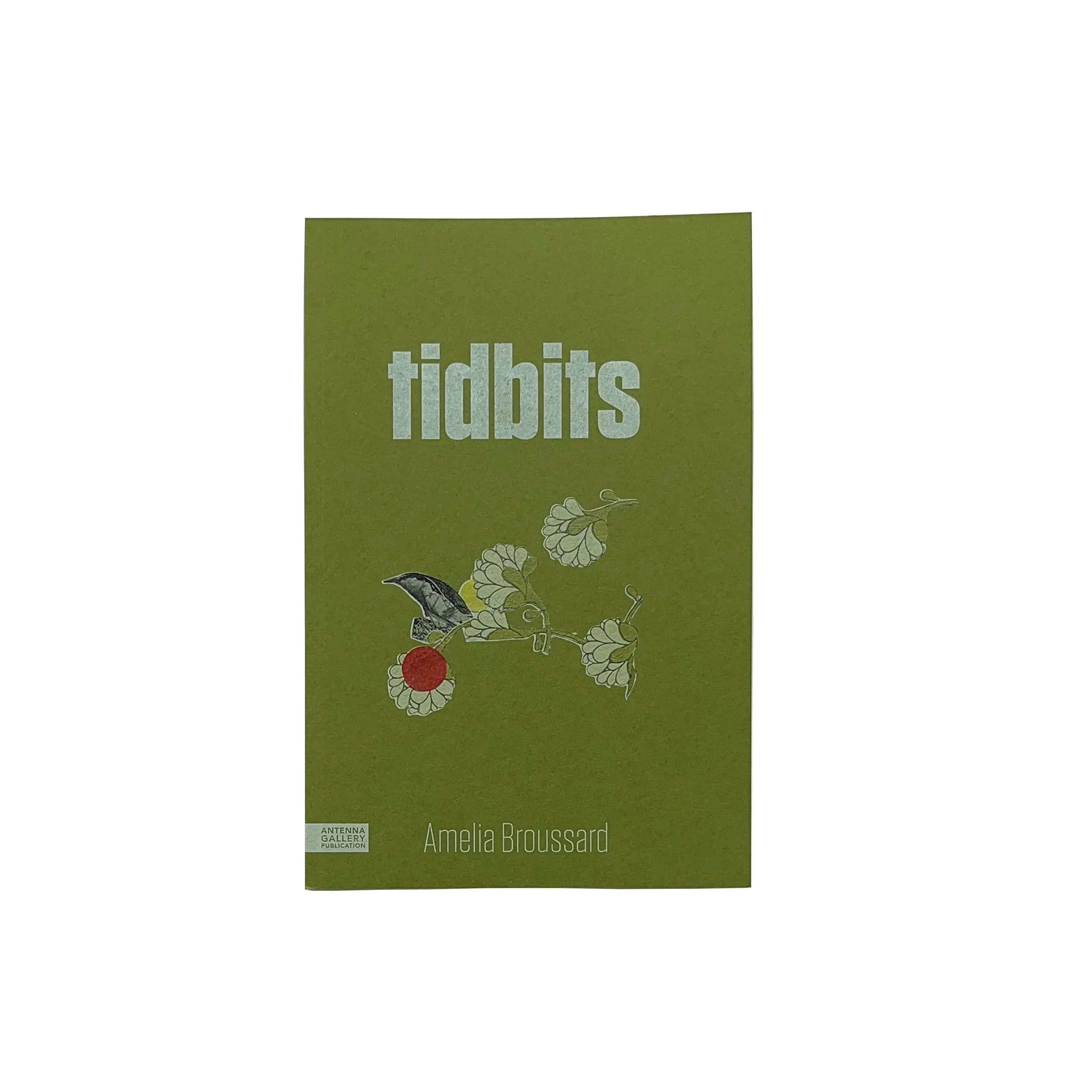 shop_book_tidbits-main (1).jpg
