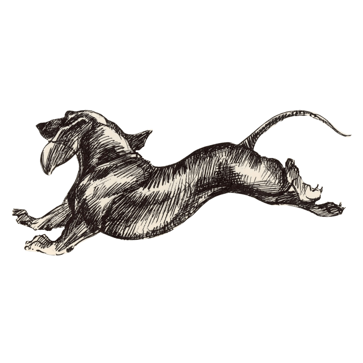 A black-and-white sketch of a dog in mid-air, laying on its side with legs extended and head turned downward.