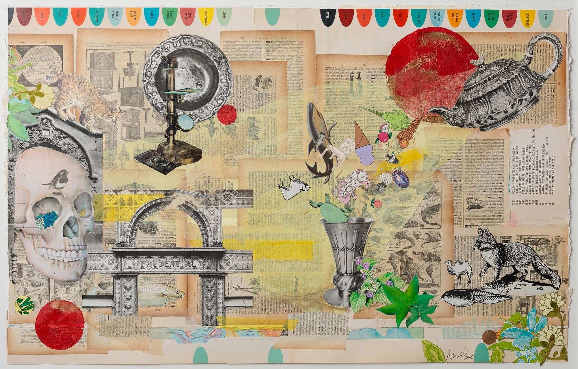 Collage artwork featuring vintage book pages, illustrations of animals and objects, a skull, a telescope, a skull, plants, and colorful paper spheres.