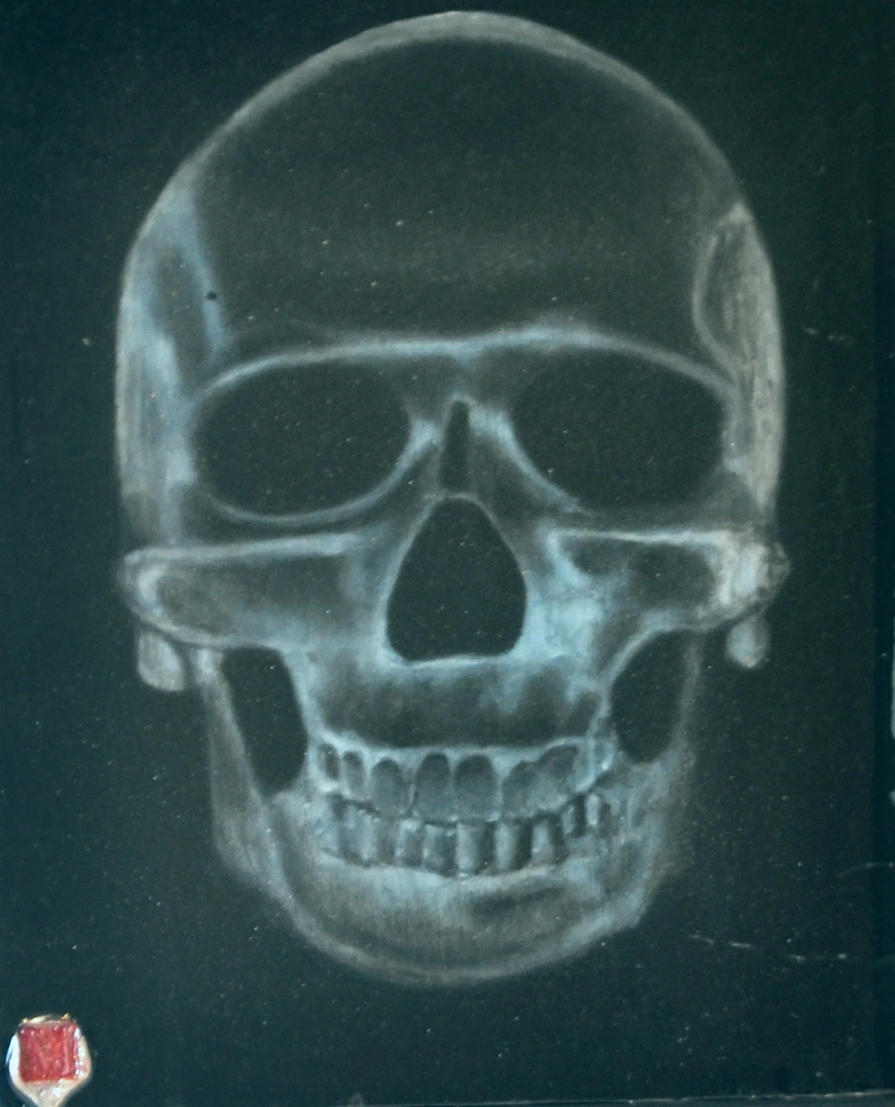 XRaySkullBlueHue.jpg