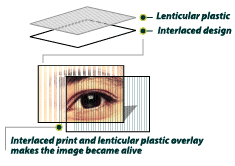 plastic_lenticules.gif