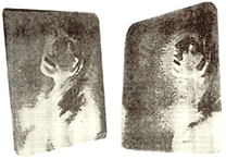 Figure 10. Two views of an 11" x 14" "Integram" photograph by Roger de Montebello. (Roger de Montebello, 1977)