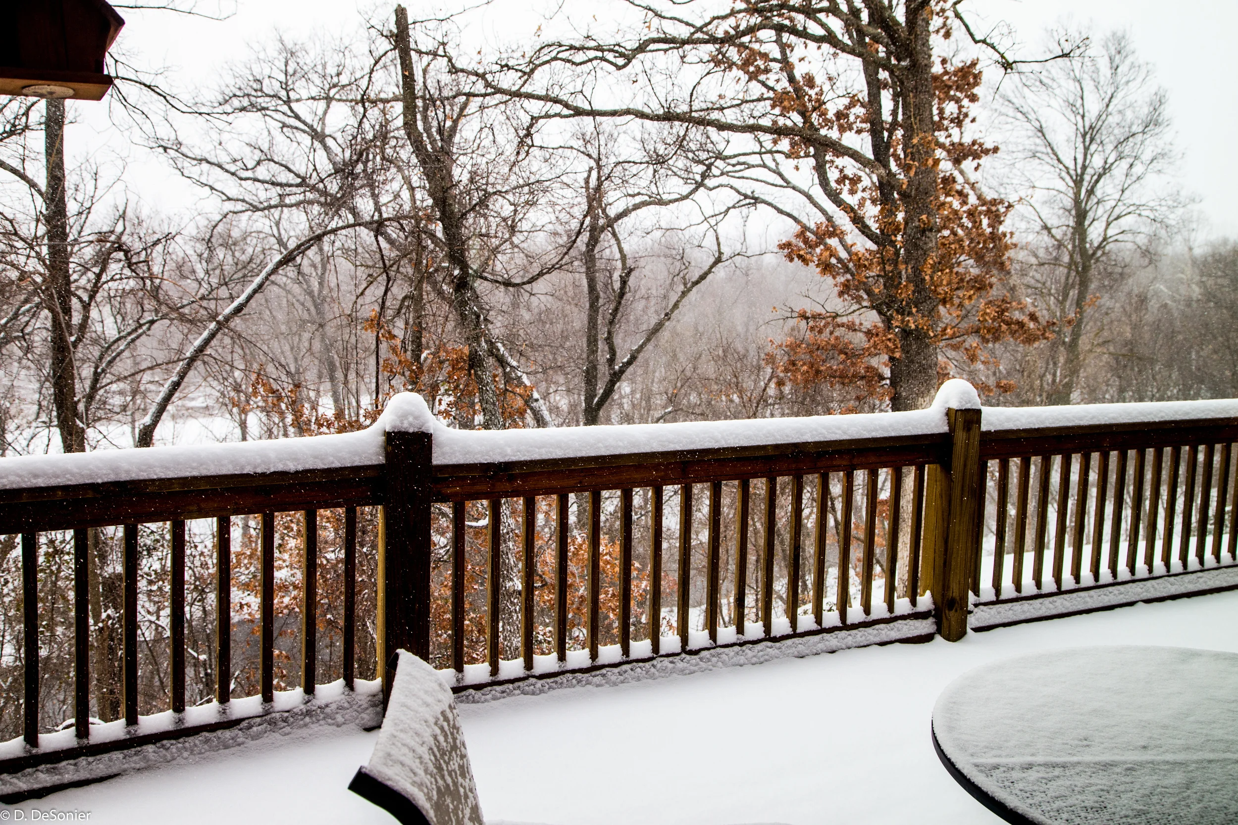 The view from our back deck.