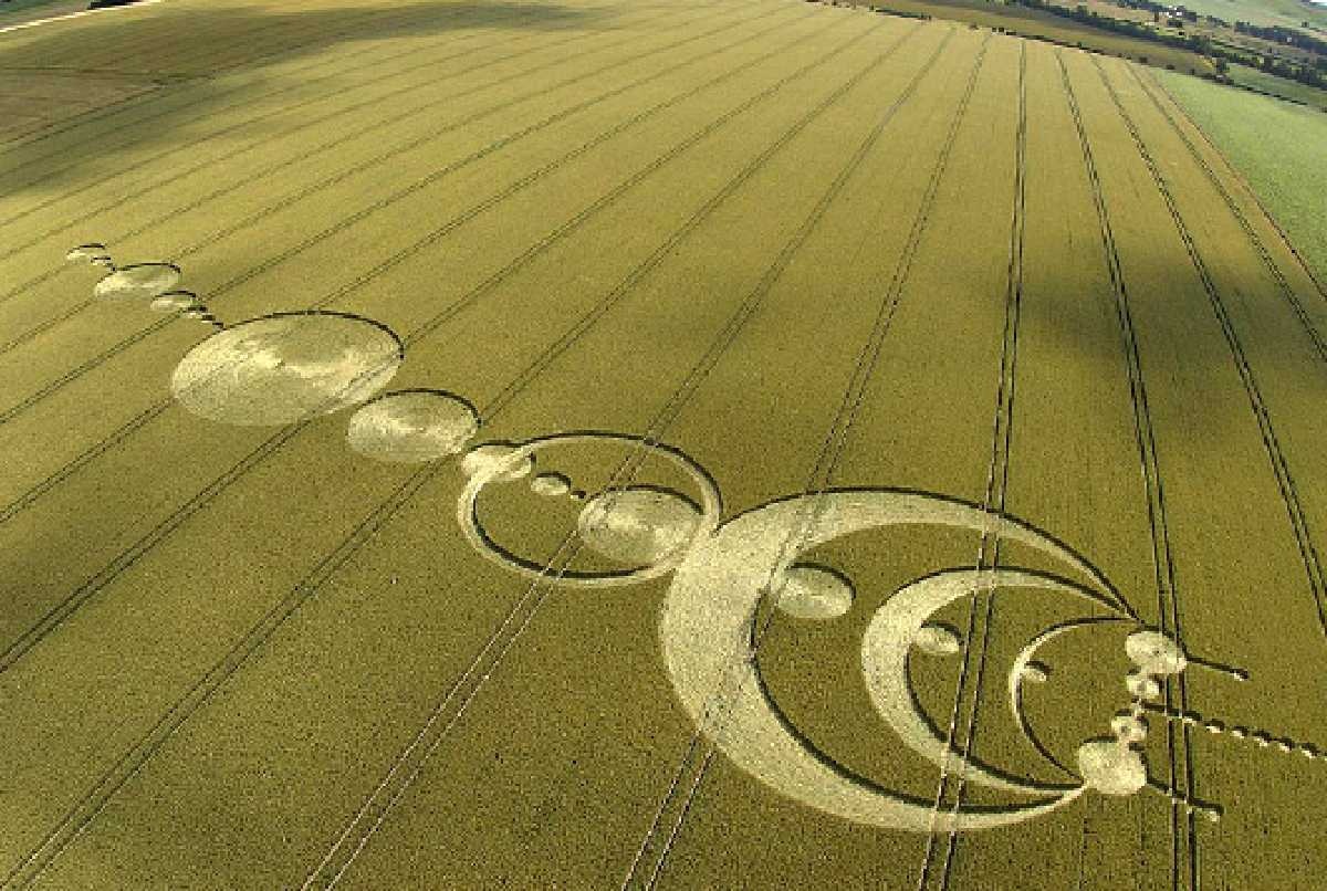 Crop circle.