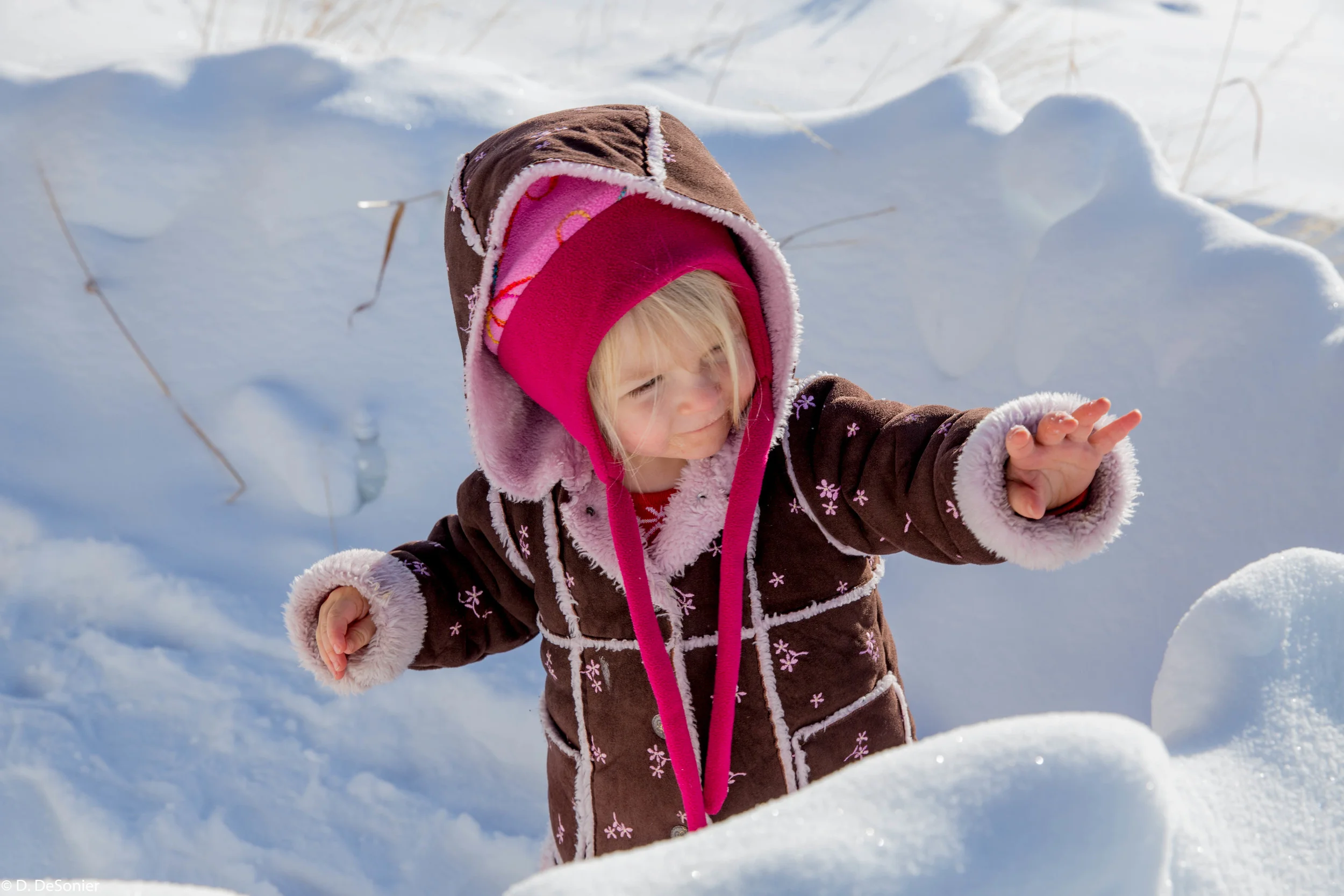 Rosie in the snow fort.