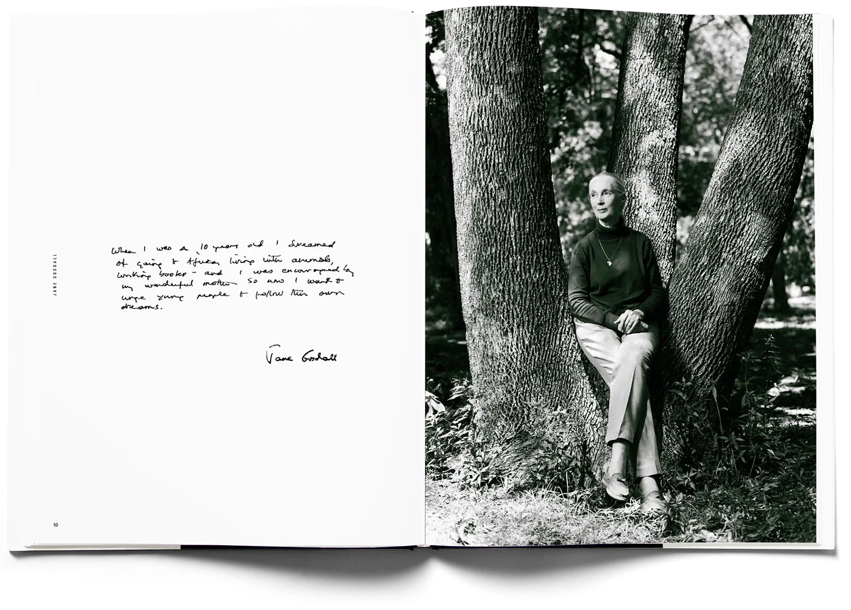 10_identity_book_spread_13.jpg