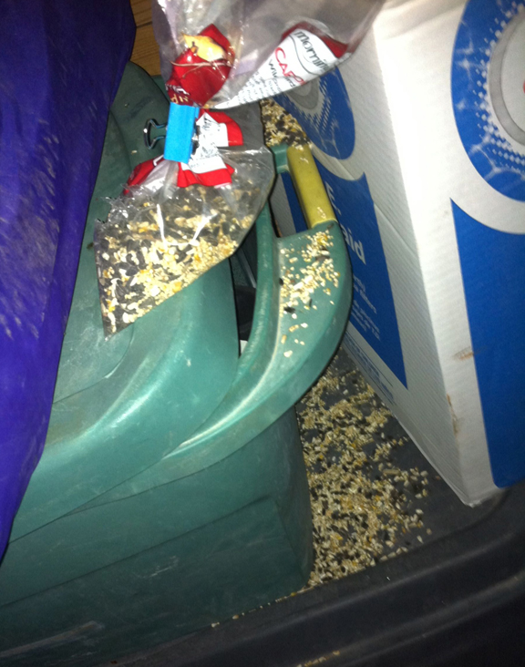Bird-Seed-Mess.jpg