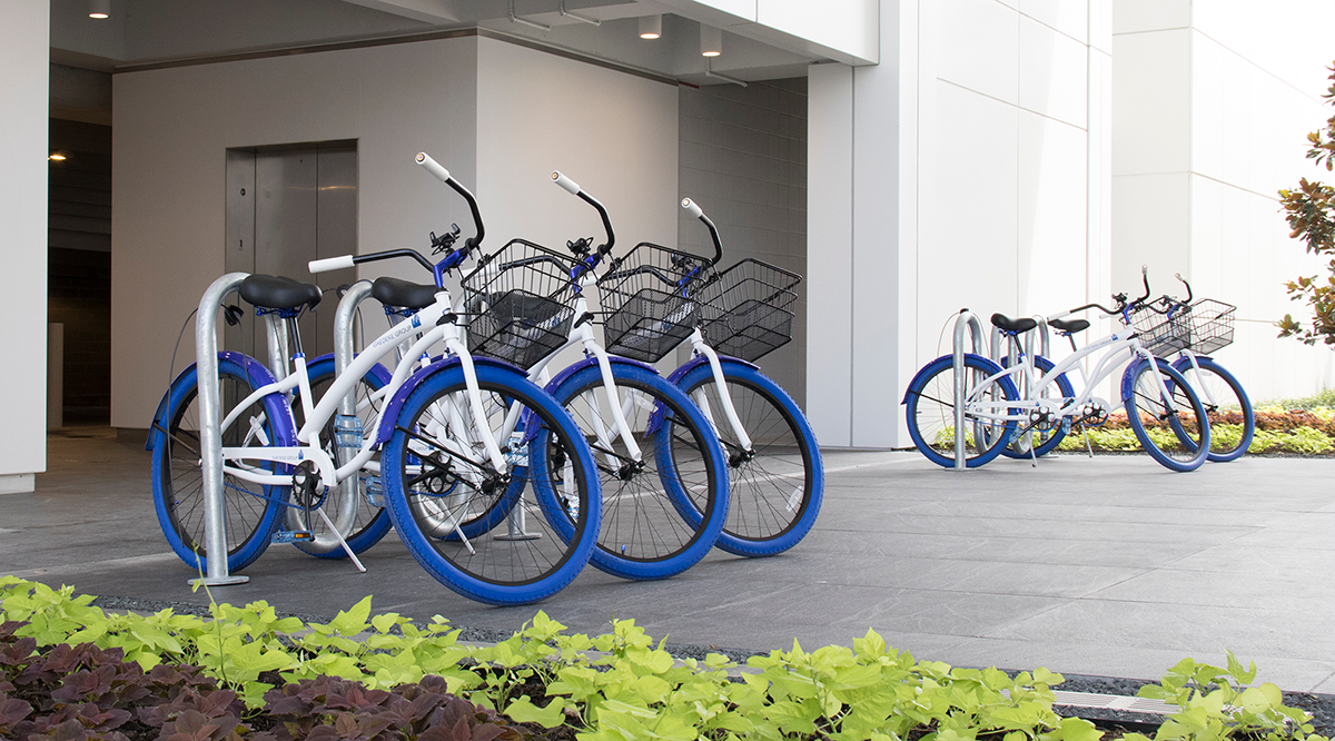 One Legacy West Courtesy Bicycles