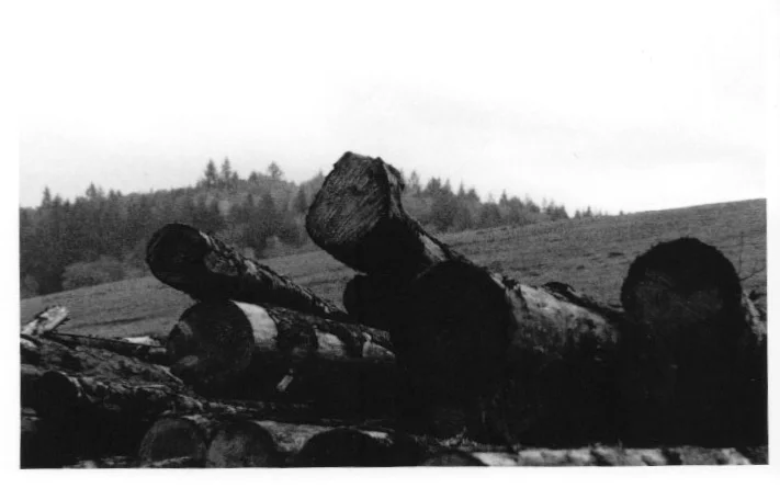 logs.jpg