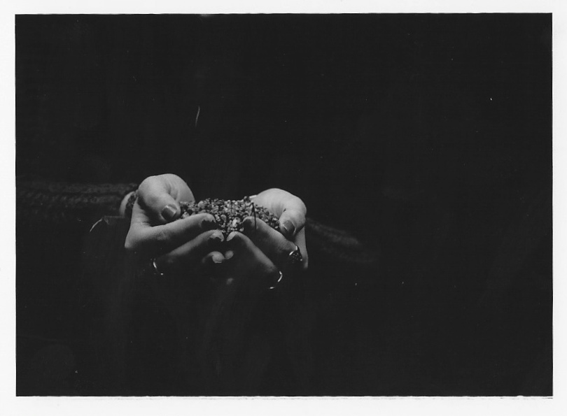 mahlyfew-35.jpg
