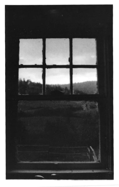 window.jpg