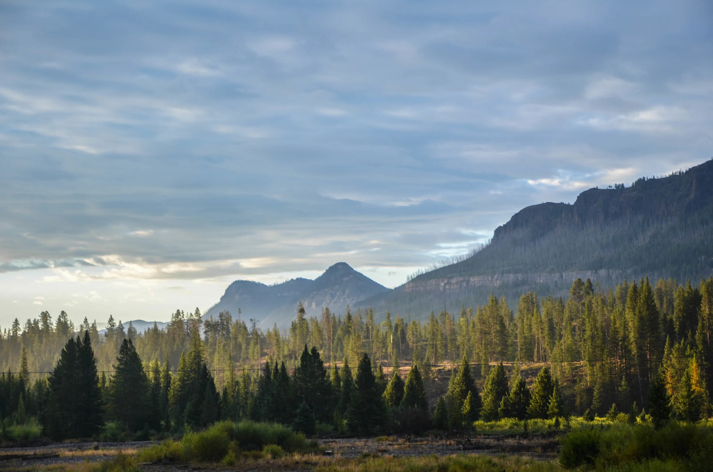 DSC_4461.jpg